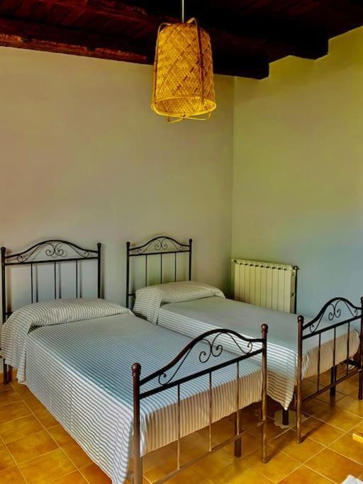 Casa Magnolia Apartment Augusta Ngoại thất bức ảnh