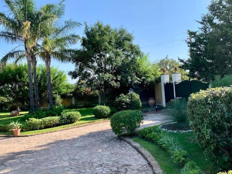Casa Magnolia Apartment Augusta Ngoại thất bức ảnh